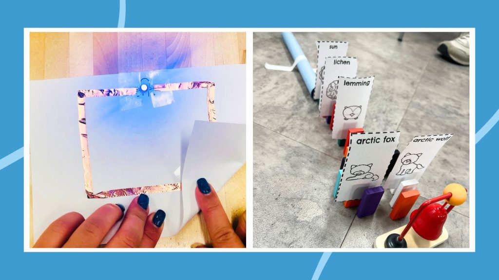 65 3rd Grade Science Projects for the Classroom or Science Fair
